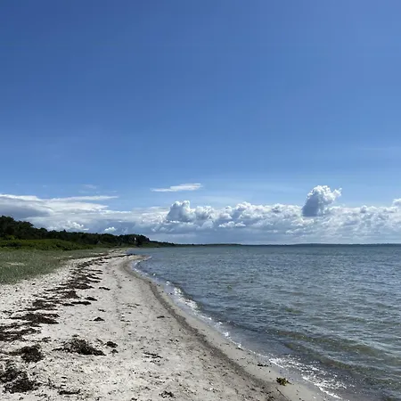 Unique House Near Ancient North Forest * Jaegerspris