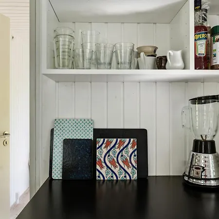 Unique House Near Ancient North Forest Jaegerspris