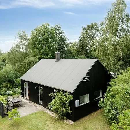 Unique House Near Ancient North Forest *